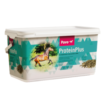 Pavo Protein Plus 7 kg